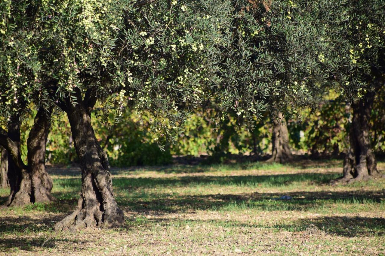 Joli Studio Climatise 'Alma 4' - Coeur De Beziers - Wifi Fibre - Netflix ภายนอก รูปภาพ