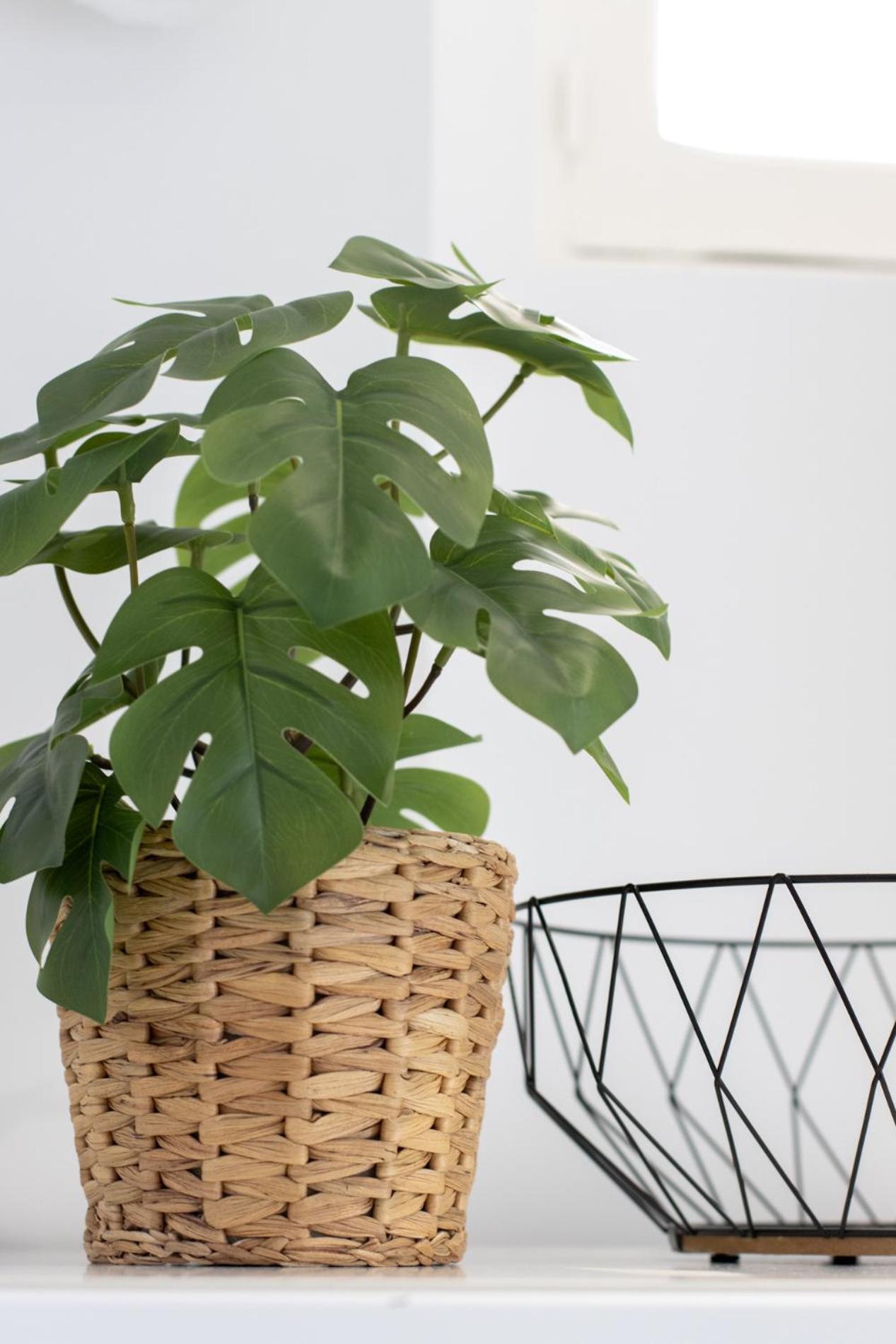 Joli Studio Climatise 'Alma 4' - Coeur De Beziers - Wifi Fibre - Netflix ภายนอก รูปภาพ